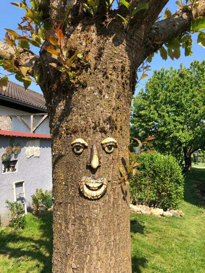 Ferien- Und Monteurswohnung Heilbrunnen Woerth am Rhein Exterior foto